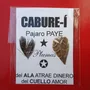 Primera imagen para búsqueda de pluma de cabure