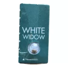 Semilla De Colección White Widow X1 - Pyramid Seed