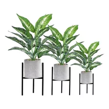 Set De 3 Bases Para Plantas.