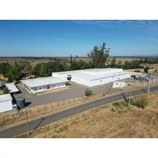 Venta - Chillán - Terreno Industrial - Fundo Boyen Lotes 1,