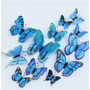 Primera imagen para búsqueda de colibri