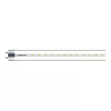 Tubo Led 14w Ecofit T8 Philips Claro 6500k 929003560211