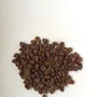 Primera imagen para búsqueda de semillas de jacaranda