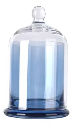 Primera imagen para búsqueda de botellas de vidrio azul