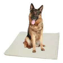 Jornal Pet Para Cachorro Grande Porte 500 Folhas 10kg