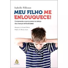 Meu Filho Me Enlouquece!: Compreenda O Que Se Passa Na Cabeça Das Crianças De 6 A 11 Anos, De Filliozat, Isabelle. Editora Gmt Editores Ltda., Capa Mole Em Português, 2018