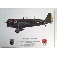Gravura Histórica Perfil P-47 Thunderbolt Senta A Púa! Fab