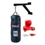 Primera imagen para búsqueda de saco de box everlast