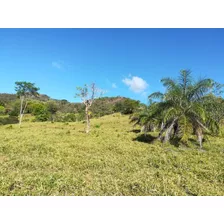 Agua Viva Todo El Año Además De Agua Del Iddan, Con Excelente Acceso