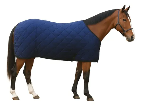 Primeira imagem para pesquisa de capa para cavalo inverno