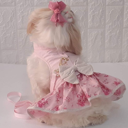 Roupa Pet Cachorro Vestido E Guia Yorkshire Spits Shitzu Pug