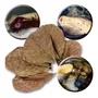 Primeira imagem para pesquisa de folhas de amendoeira para uso