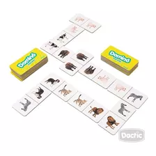 Domino Animal Carton Dactic