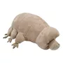 Primeira imagem para pesquisa de tardigrado