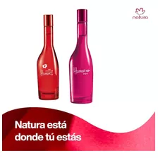 Pack De 2 Mini Perfume Humor De 25ml 