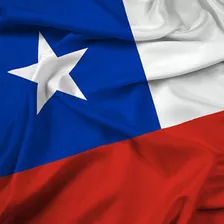 Bandera Chilena 60x90 Cm Tela Bordada Reforzada