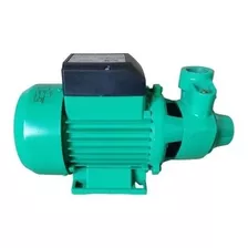 Motobomba Periférica 1cv Bp80 Wdm 745w Motor Bivolt Cor Verde