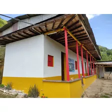 Se Vende Finca En Caicedonia Vda San Gerardo 