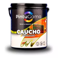 Pintura Pintugama Caucho Galón