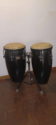 Segunda imagen para búsqueda de congas