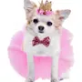 Primera imagen para búsqueda de vestido de fiesta para perros