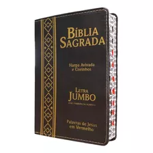 Biblia Letra Gigante Extragigante Jumbo Est Marrom Índice