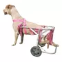 Primeira imagem para pesquisa de carrinho para cachorros deficiente