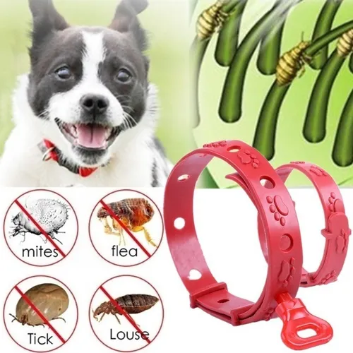 Primera imagen para búsqueda de collar antipulgas garrapatas