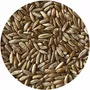 Segunda imagen para búsqueda de trigo en grano