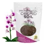 Primera imagen para búsqueda de fertilizante para orquideas