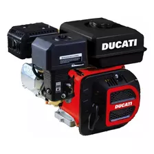 Motor Estacionario A Nafta Ducati Dpe210 Eje Horizontal 7hp