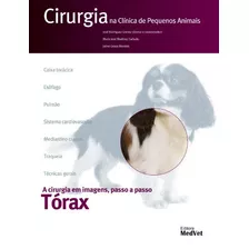 Cirurgia Na Clínica De Pequenos Animais - Torax