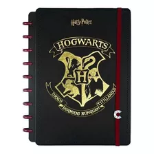 Caderno Inteligente 80f Médio By Harry Potter Novitate