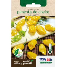 Sementes De Pimenta De Cheiro Do Norte Vigorosa Saborosa