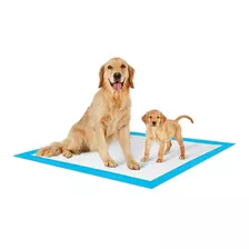 Pañal De Entrenamiento Para Perros Súper Absorbente Pet Show