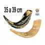 Primeira imagem para pesquisa de shofar