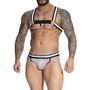 Primeira imagem para pesquisa de harness
