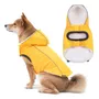 Primera imagen para búsqueda de chaqueta impermeable perro