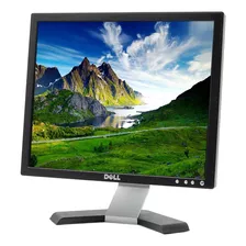 Monitores Dell Cuadrados 17 Vga Dvi Grado A Sin Base Pc