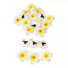 Pinche Traba Modelo Flor Hawaiana Para El Cabello Blanc 20un