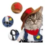 Segunda imagen para búsqueda de disfraz para gato