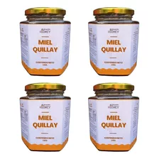 Miel De Abejas. Quillay. Pack 4 Kg. Estación H2oney.