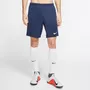 Primeira imagem para pesquisa de shorts nike masculino