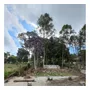 Primeira imagem para pesquisa de terreno ibiuna 1000 m2 barato