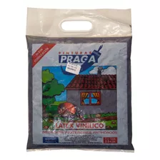 Pintura Bolsa Azul Piedra Praga