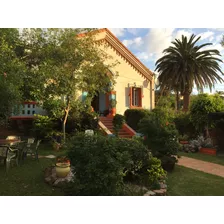 Casa Linda En Alquiler En Piriapolis. Cerca Del Mar, Del Centro Y Del Puerto. Hermoso Parque.