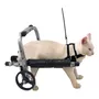 Segunda imagem para pesquisa de cadeira de rodas para cachorro