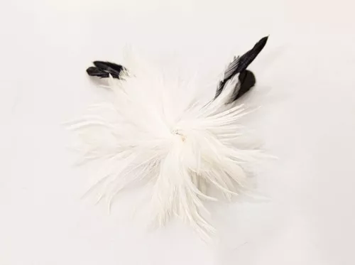 Segunda imagen para búsqueda de plumas blancas