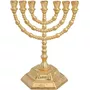 Segunda imagen para búsqueda de menorah