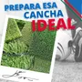Primera imagen para búsqueda de grama artificial